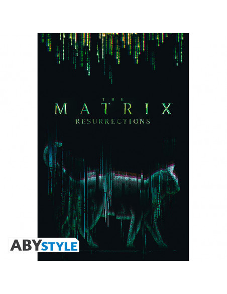 Matrix: ABYstyle - Cat (Poster 91