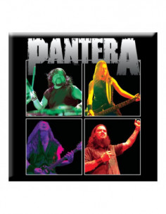 Pantera: Band Photo (Magnete)