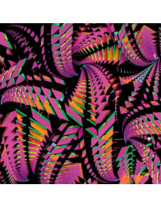 Bitchin Bajas - Bajascillators