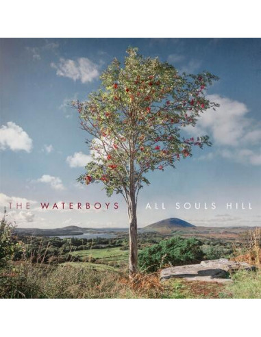 Waterboys The - All Souls Hill (Lp)