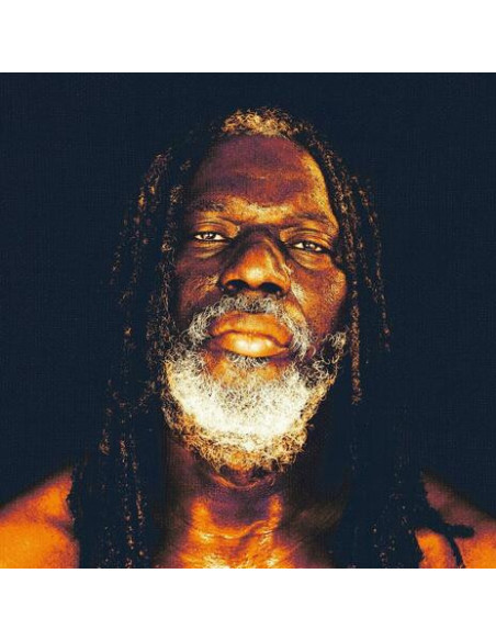 Tiken Jah Fakoly - Braquage De Pouvoir - (CD)