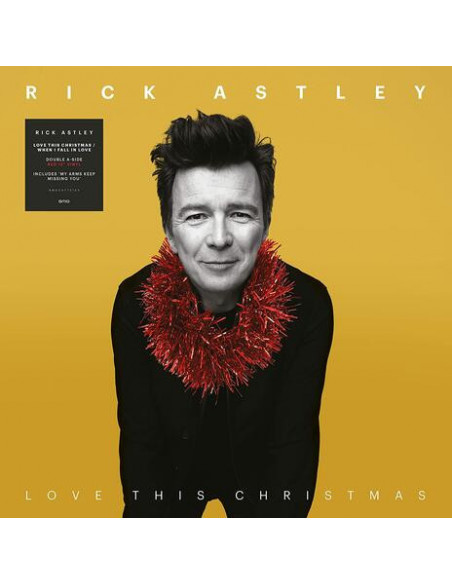 Rick Astley - Love This Christmas / When I F