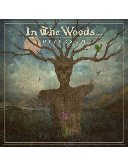 In The Woods... - Diversum