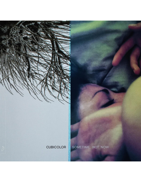 Cubicolor - Sometime Not Now