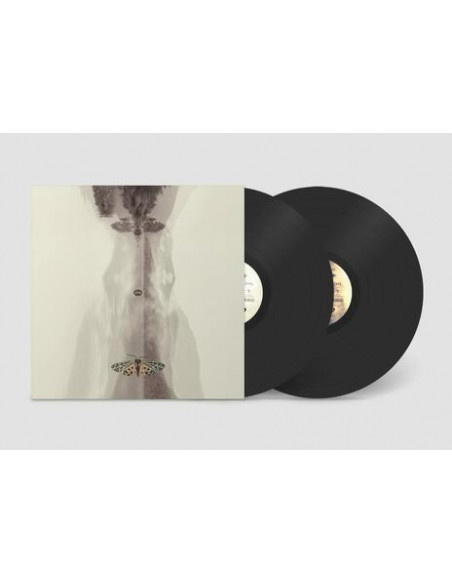 Roedelius Hans-Joachim, Story Tim - Lunz