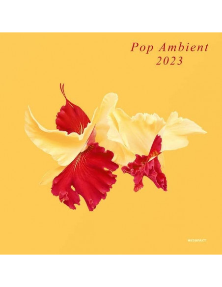 Compilation - Pop Ambient 2023