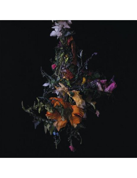 Big Brave - Nature Morte (Lavender Vinyl)