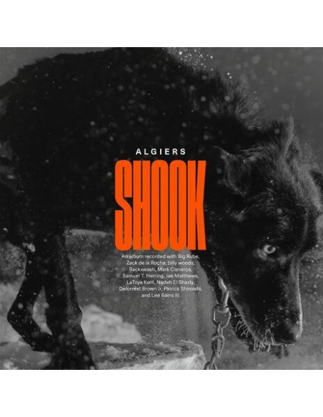 Algiers - Shook