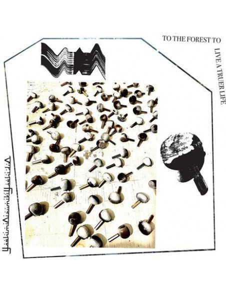 Yoshimioizumikiyoshi - To The Forest To Live Atruer Life