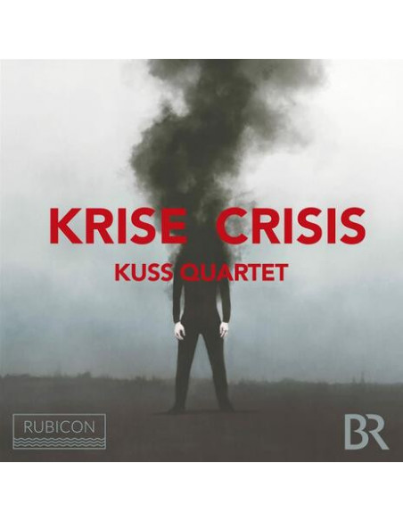 Compilation - Krise Crisis - (CD)