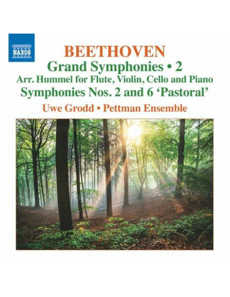 Grodd Uwe Fl - Grand Symphonies Vol.2 - (CD)