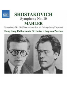 Zweden Jaap Van Dir - Tenth Symphonies - (CD)