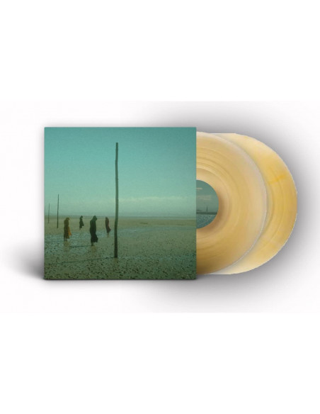 Devil'S Witches - In All Her Forms (Vinyl Gold Edt.)