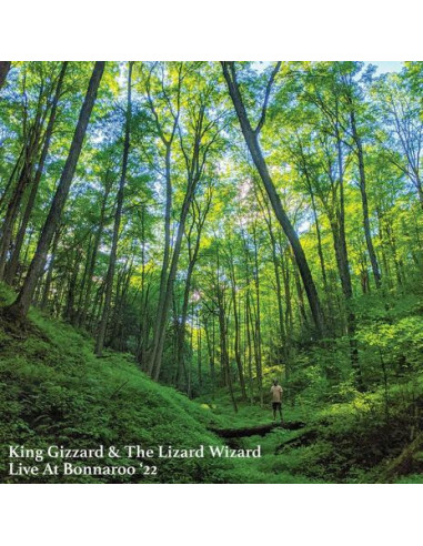 King Gizzard and The Lizard Wizard -...