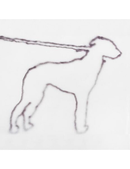 Yano Jonah - Portrait Of A Dog