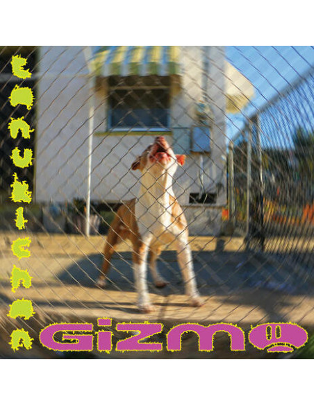 Tanukichan - Gizmo