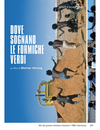 Dove Sognano Le Formiche Verdi