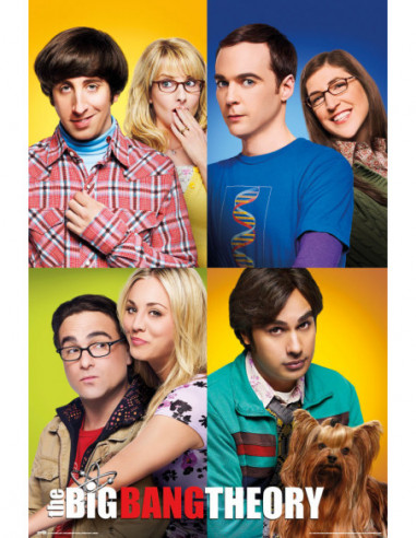 Big Bang Theory (The): Mosaico...