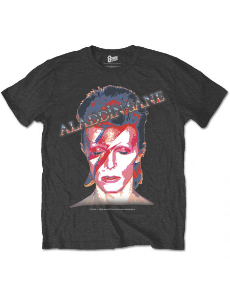 David Bowie: Aladdin Sane Grey (T-Shirt Unisex Tg. XL)