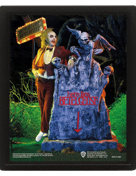 Beetlejuice: Pyramid - Graveyard - Framed 25X20 Cm (3D Lenticular Print / Stampa)