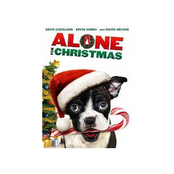 Alone For Christmas