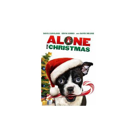 Alone For Christmas