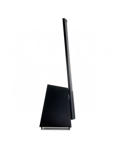 Martin Logan - ElectroMotion ESL