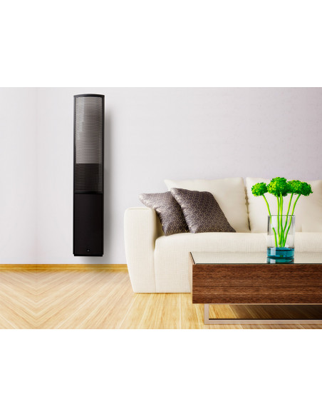 Martin Logan - EFX Martin Logan - EFX