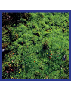 Puech Matthias - Mt. Hadamard National Park