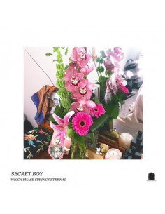 Wicca Phase Springs - Secret Boy (Doublemint Green Vinyl)