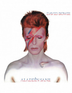 Bowie David - Aladdin Sane (50Th Anniversary) (Picture Disc)