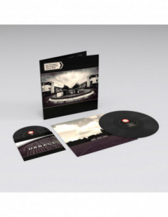 Gallagher'S Noel High Flying Birds - Council Skies (Lp + 45 Giri)