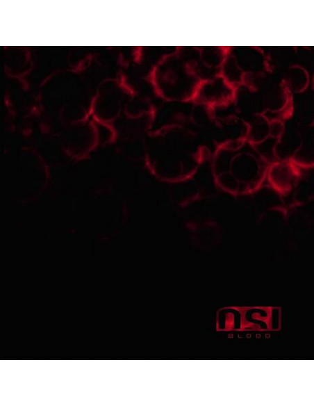Osi - Blood - (CD)