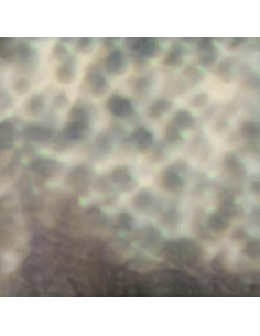 Carlos Cipa - Ourselves, As We Are - (CD)