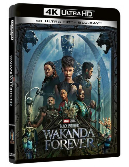 Black Panther - Wakanda Forever (4K+Br) + Poster