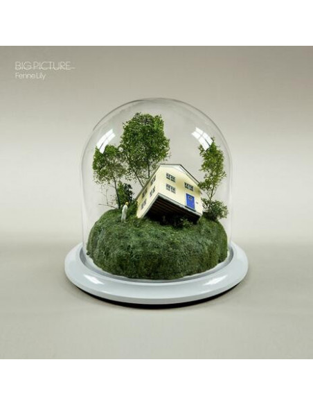 Lily, Fenne - Big Picture - (CD)