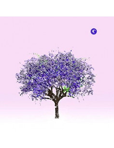 Eels - Tomorrow Morning