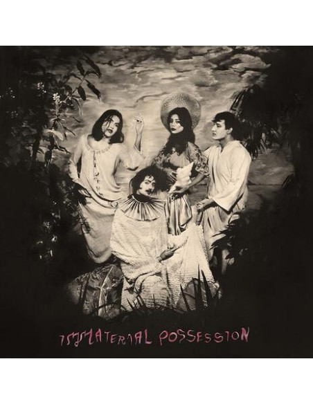 Immaterial Possession - Mercy Of The Crane Folk - (CD)
