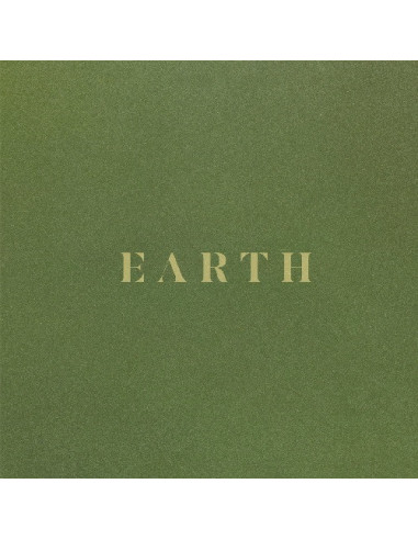 Sault - Earth