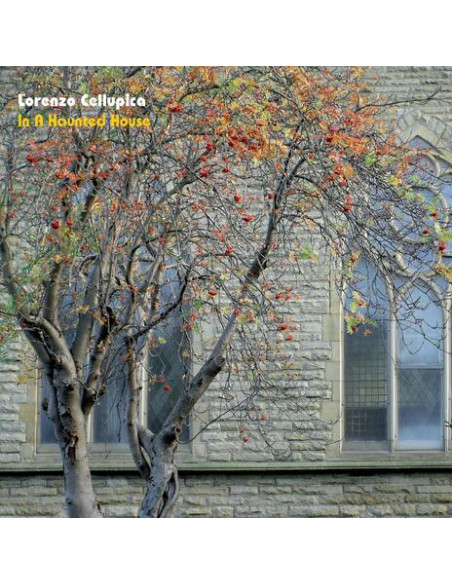 Cellupica Lorenzo - In A Hounted House - (CD)