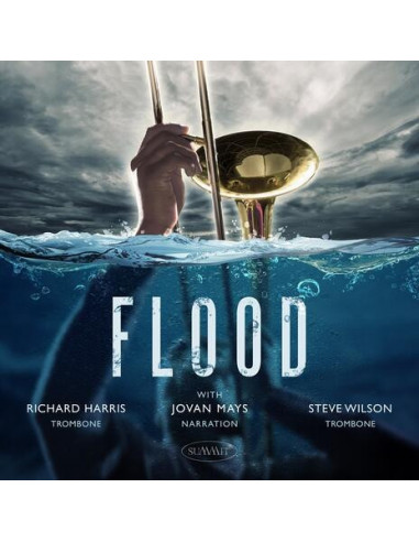 Steve Wilson & Richa - Flood - (CD)