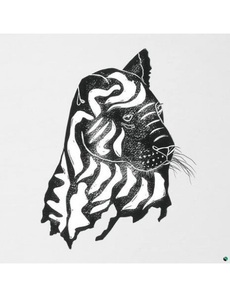 Alpha Steppa & Awa F - What A Joy - (CD)