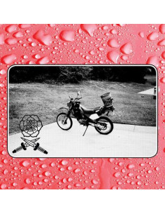 Bass Drum Of Death - Say I Won T - (CD)