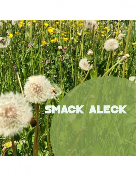 Smack Aleck - Unavoidable - (CD)