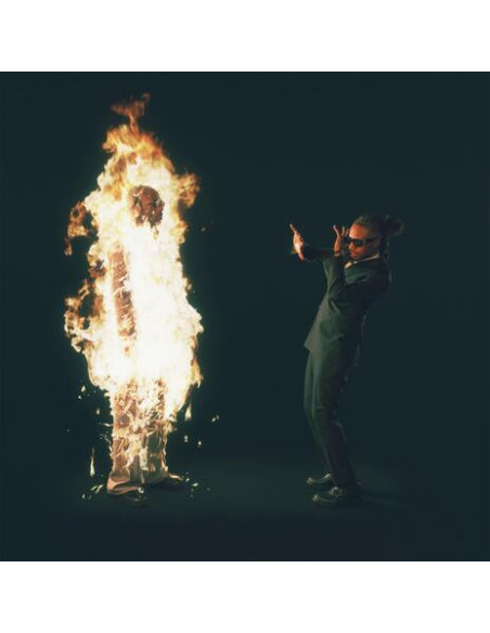 Metro Boomin - Heroes and Villains - (CD)