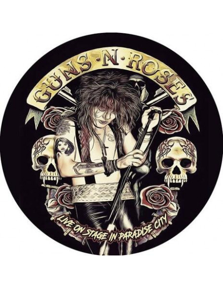 Guns N' Roses - Live On Stage In Paradise City