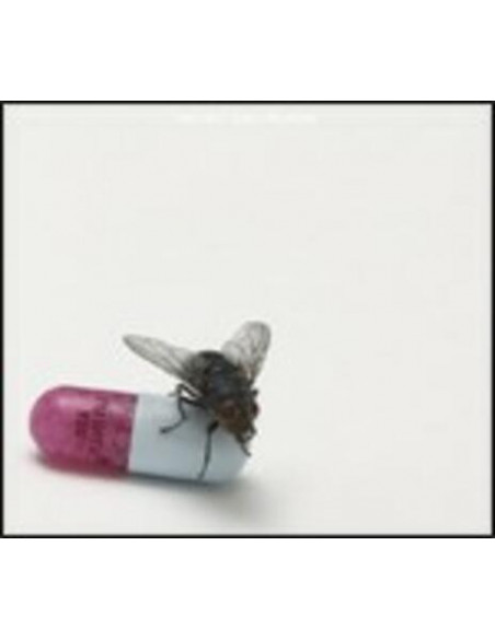 Red Hot Chili Peppers - I'M With You - (CD)