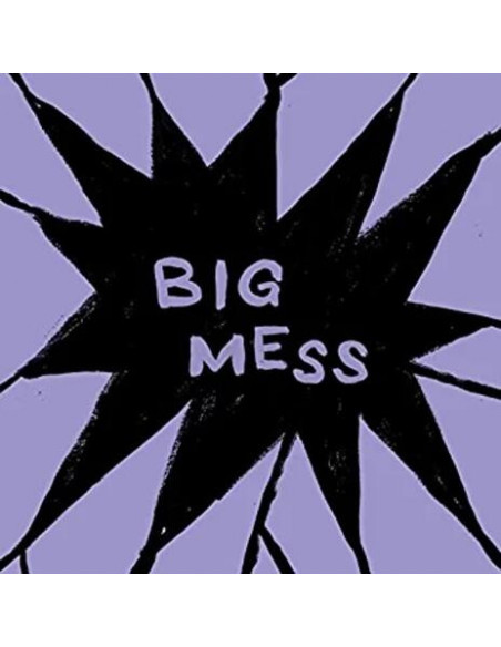 Public Body - Big Mess