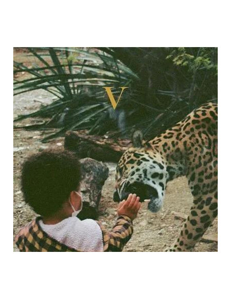 Unknown Mortal Orchestra - V