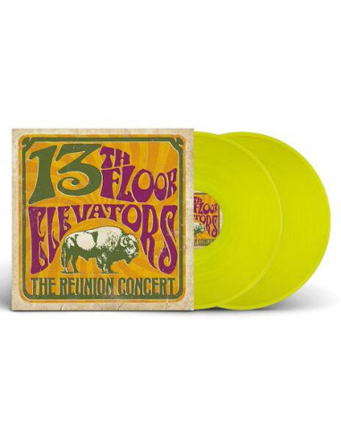 13Th Floor Elevators - The Reunion...